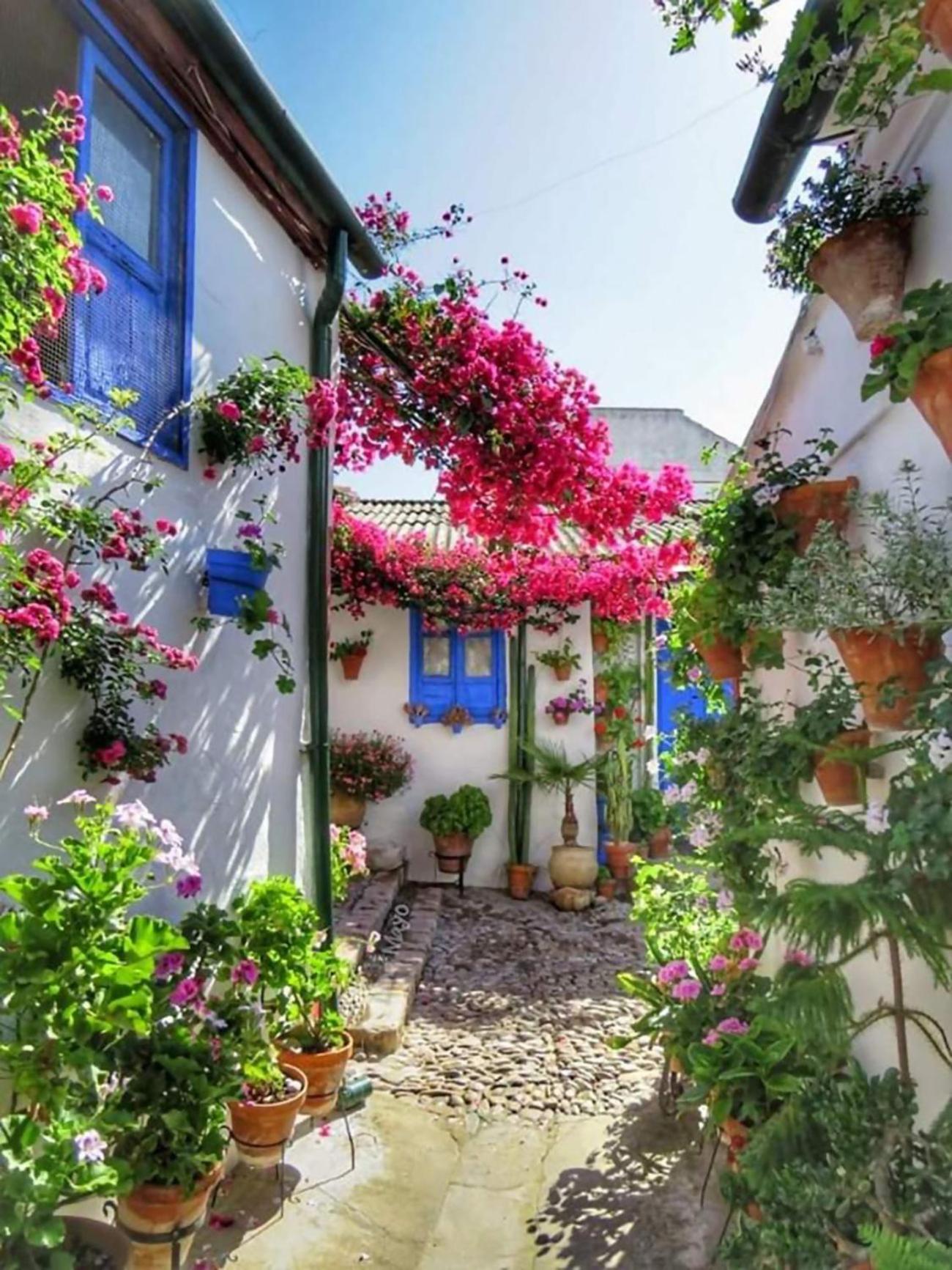 Nieves Viejas Los Patios Córdoba Eksteriør bilde