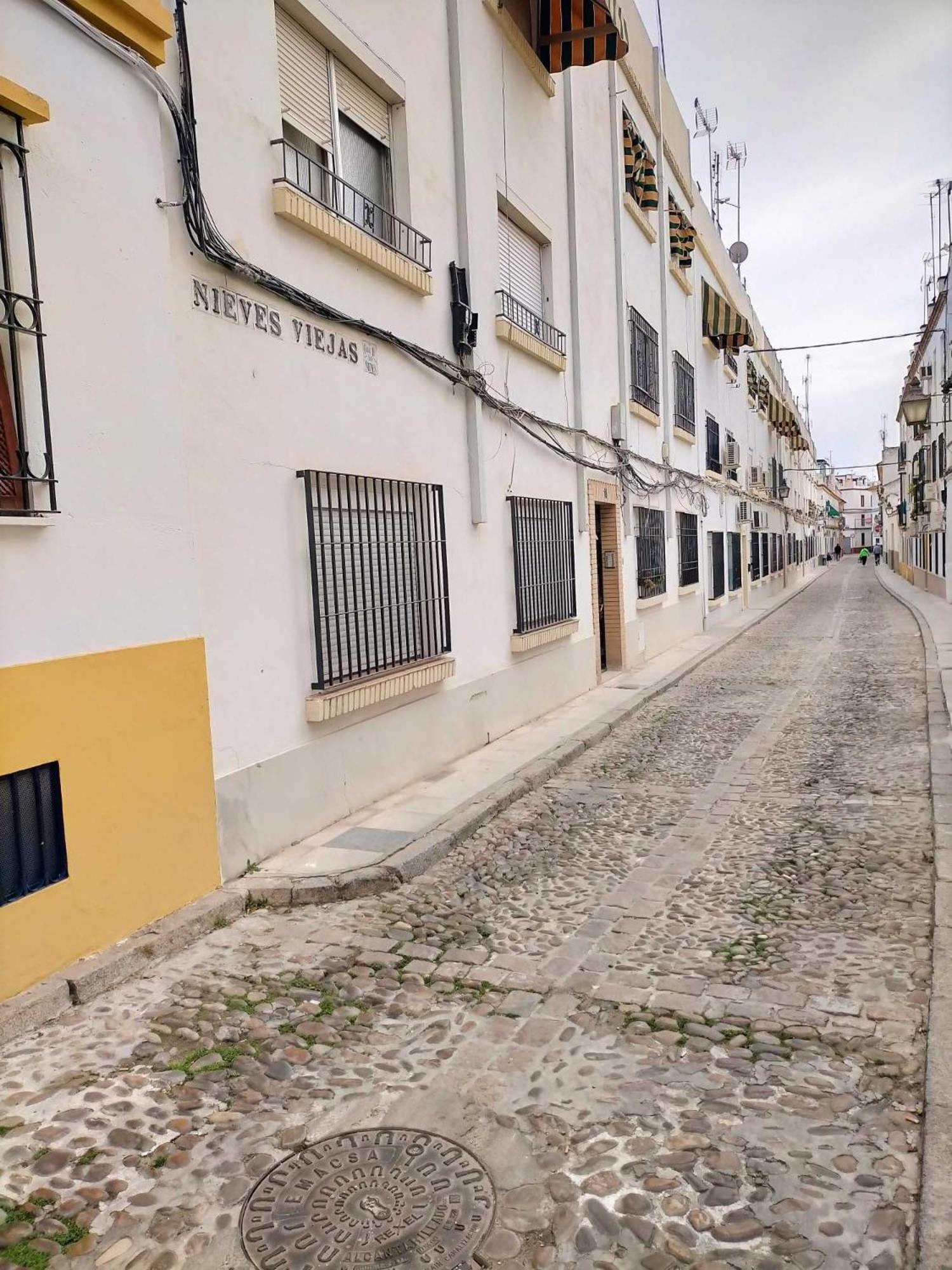 Nieves Viejas Los Patios Córdoba Eksteriør bilde